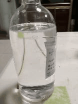 NP-8.6(枧油）