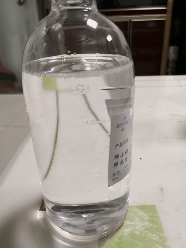 烷基酚聚氧乙烯（4）醚